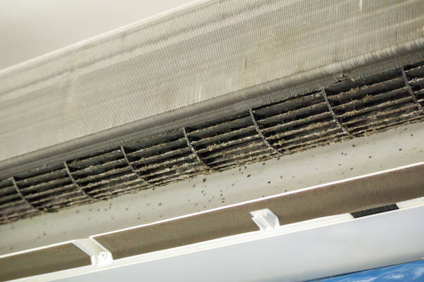 Best Ductwork Cleaning Services  in Three Points, AZ